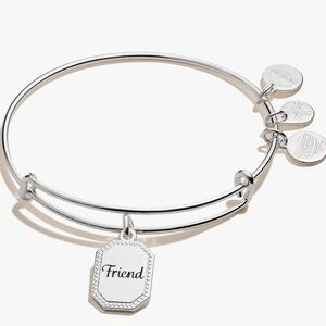 Alex & Ani Friend Bangle Bracelet Because I Love You NWT